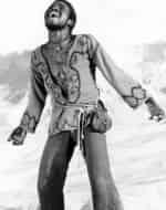 Жук кадр из фильма