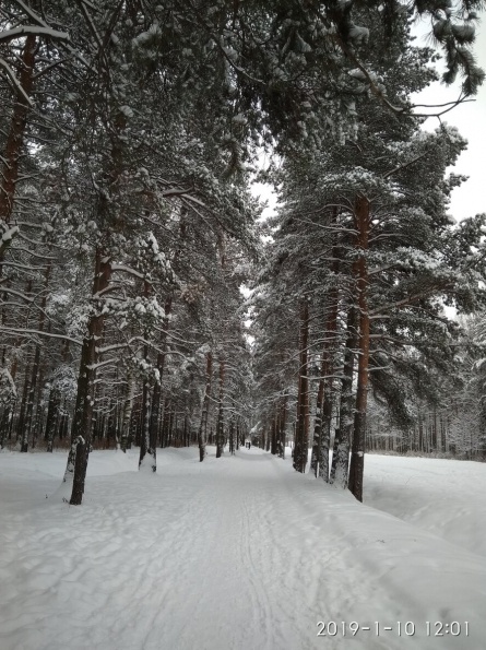 Зимнее утро в глазах Пушкина: тайны, загадки и красота зимнего пробуждения